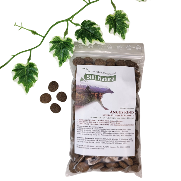 Still Nature | Angus Rind mit Süßkartoffel und Karotte