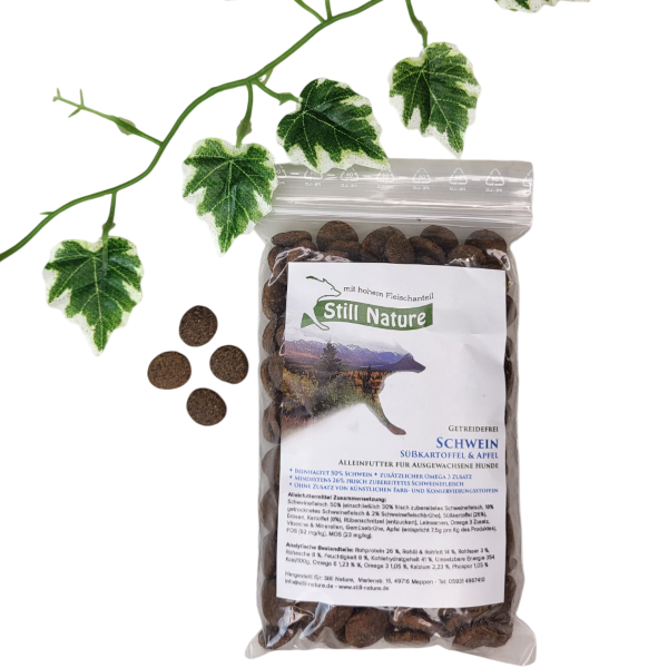 Still Nature | Schwein mit Süßkartoffel und Apfel