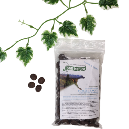 Still Nature | Forelle und Lachs mit Süßkartoffel und Spargel | Senior / Light