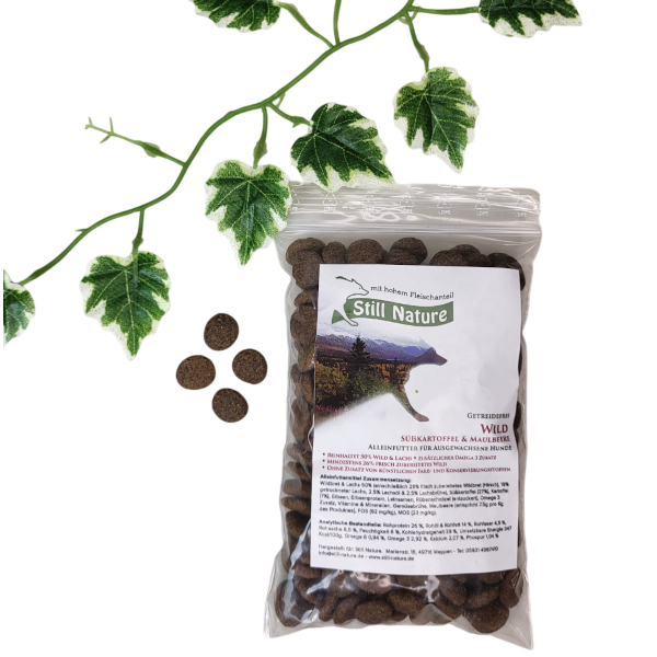 Still Nature | Wild und Lachs mit Süßkartoffel und Maulbeere