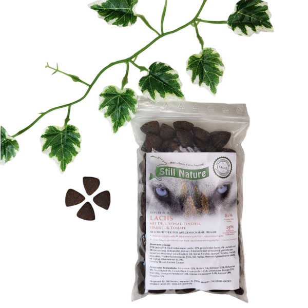 Still Nature | 65% schottischer Lachs mit Superfoods