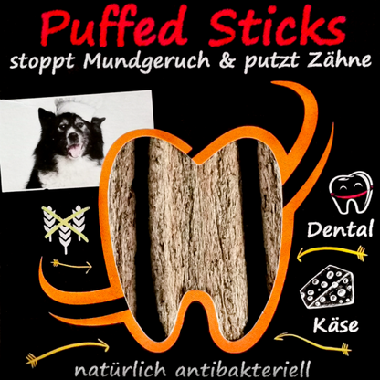 Cheeses - Natürliche Zahnpflege in verschiedenen Varianten