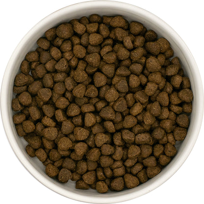 Still Nature | Puppy 65% Angus Rind mit Superfoods