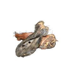 Deutsches Rinderohr mit Fell, getrocknet