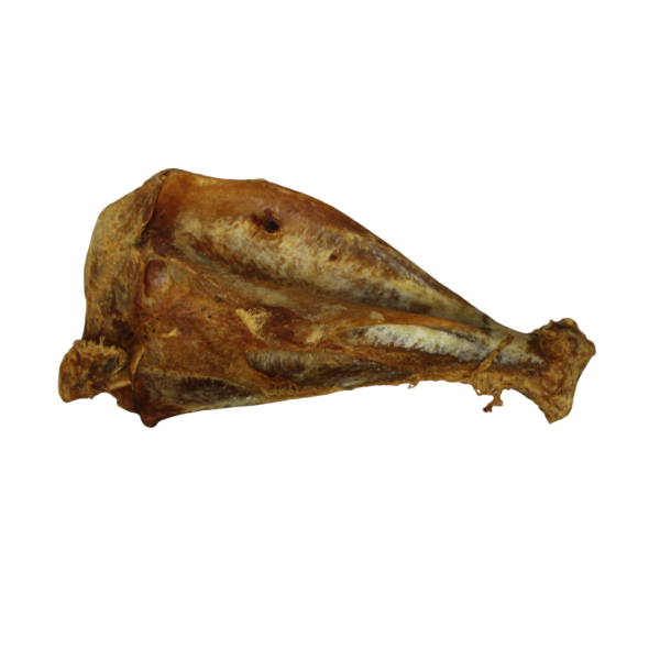 Schulterblatt vom Wildschwein Stk.