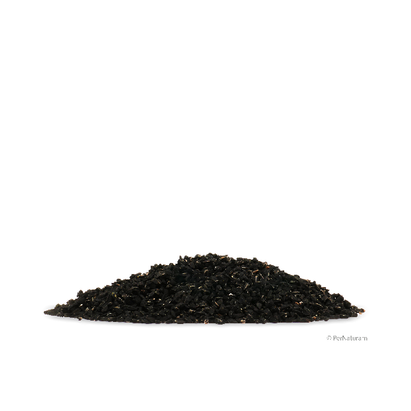 Ägyptischer Schwarzkümmel ( 1 kg )