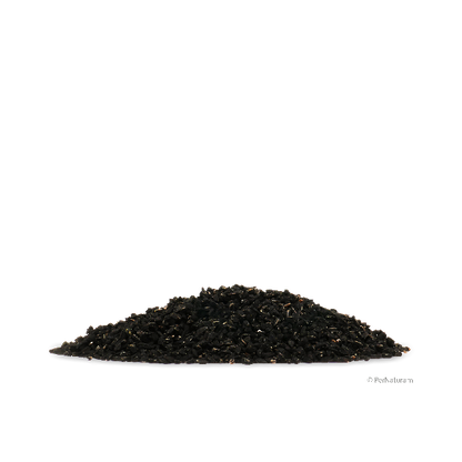 Ägyptischer Schwarzkümmel ( 1 kg )