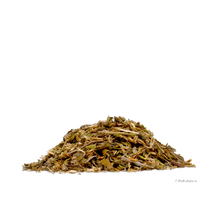 Spitzwegerich (1 kg)