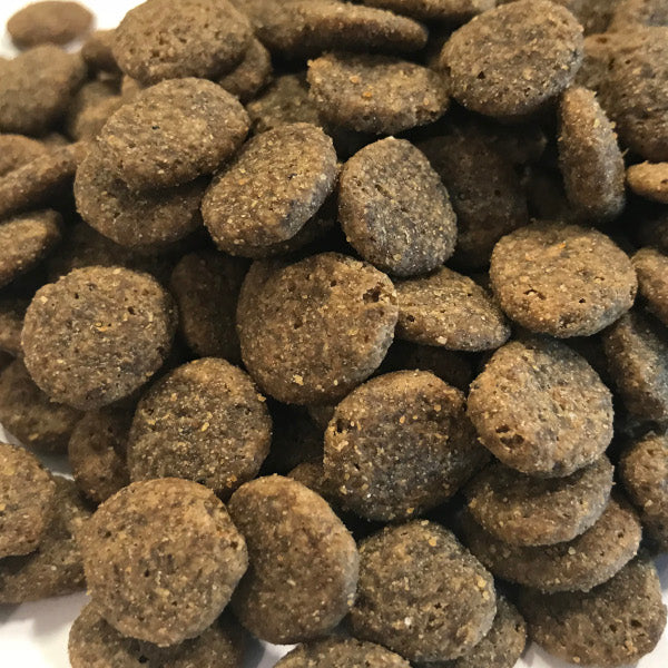 Still Nature | Angus Rind mit Süßkartoffel und Karotte