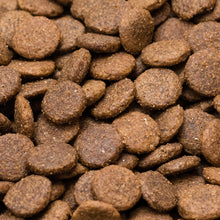 Still Nature | Huhn, Süßkartoffel und Kräuter