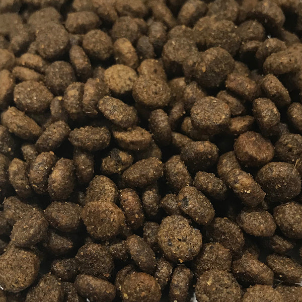 Still Nature | Ente, Süßkartoffel und Orange | kleine Rassen