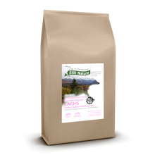 Still Nature | Lachs und Forelle mit Süßkartoffel und Spargel | kleine Rassen