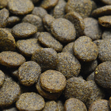 Still Nature | Thunfisch und Lachs mit Süßkartoffel und Brokkoli