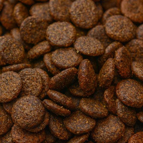 Still Nature | Wild und Lachs mit Süßkartoffel und Maulbeere