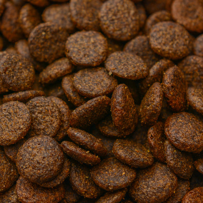 Still Nature | Wild und Lachs mit Süßkartoffel und Maulbeere