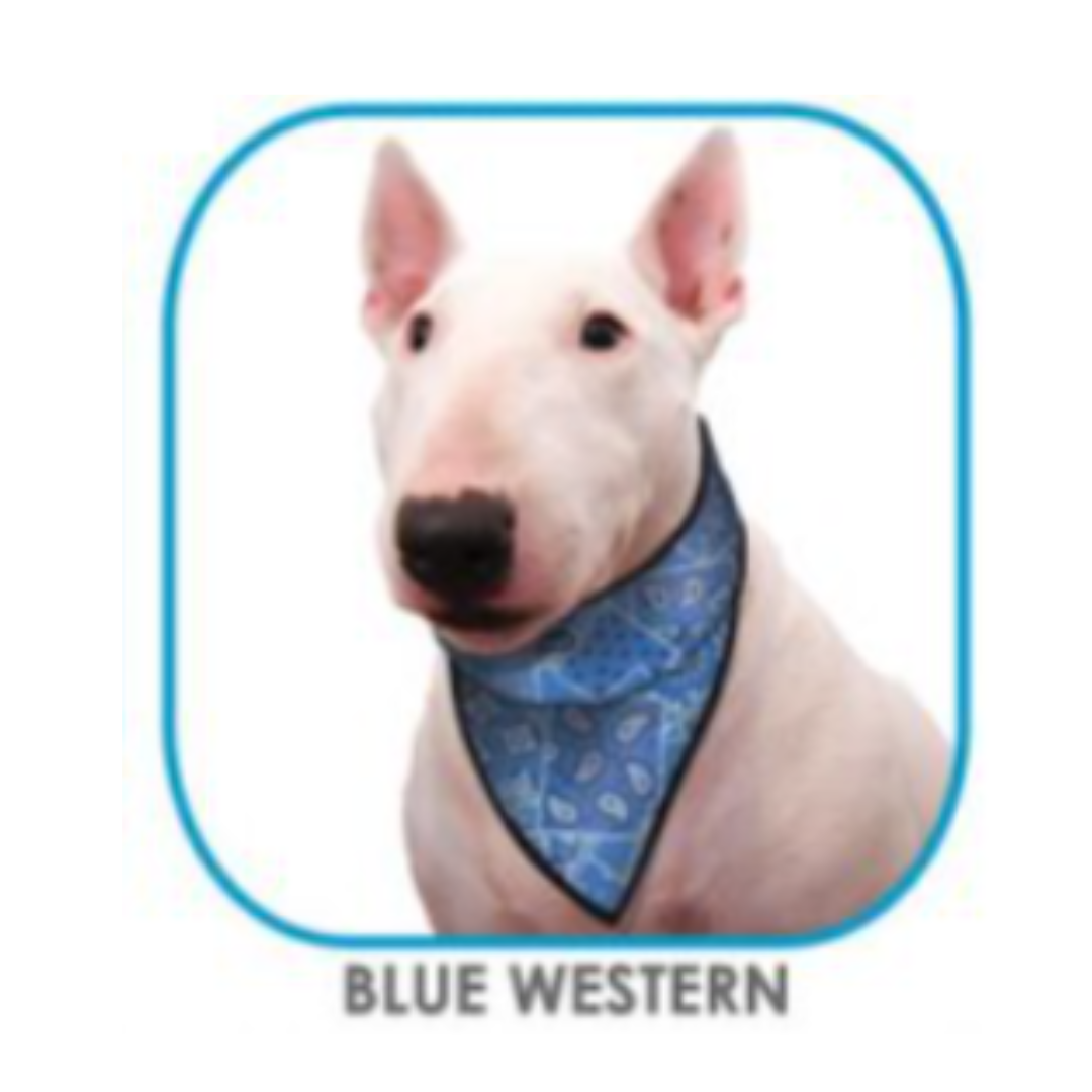 Bandana XXS Blue Western
