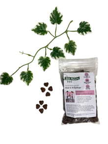 Still Nature | Vet Haut- & Fellpflege