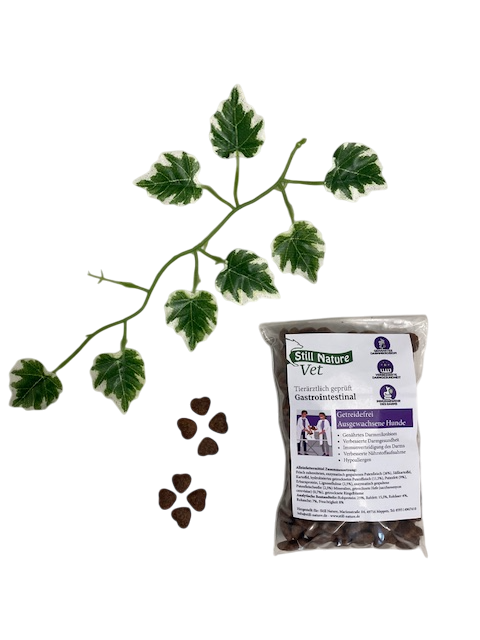 Still Nature | Vet Gastrointestinal & Verdauungspflege