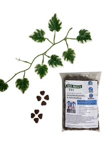 Still Nature | Vet Gewichtskontrolle & Gelenkpflege