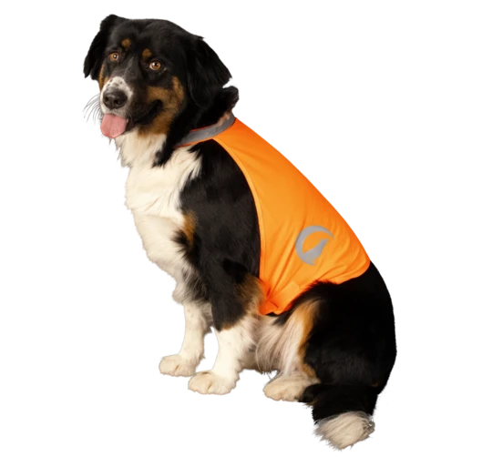 Nightwalk Dog Safety Vest orange