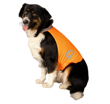 Nightwalk Dog Safety Vest orange