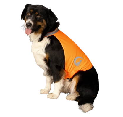 Nightwalk Dog Safety Vest orange