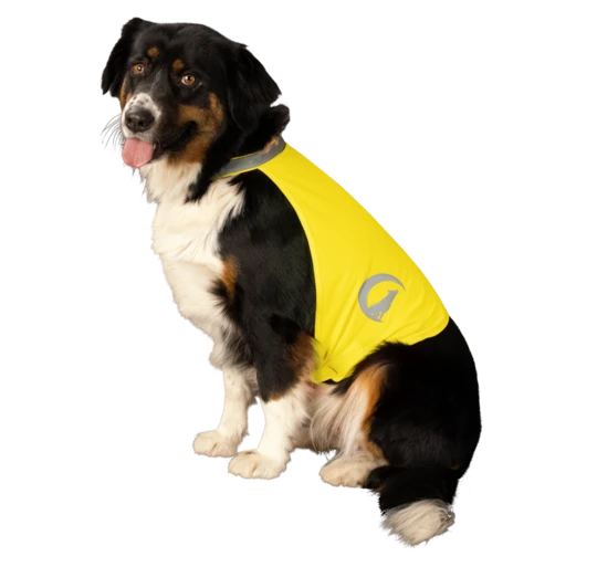Nightwalk Dog Safety Vest gelb