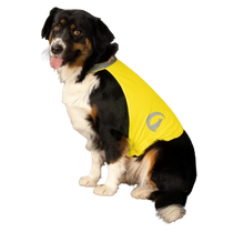 Nightwalk Dog Safety Vest gelb