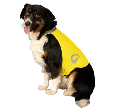 Nightwalk Dog Safety Vest gelb