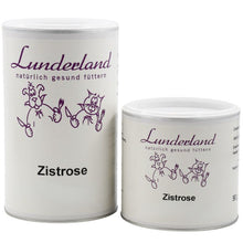 Zistrose